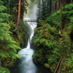 Hoh River