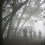 life without our calling is like a fog: Foggy forrest