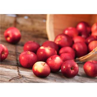 Apples spilling from basket