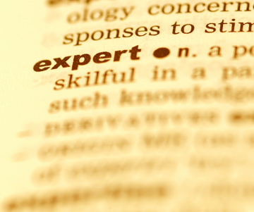 expert: picture of dictionary definition