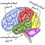 complicated brain