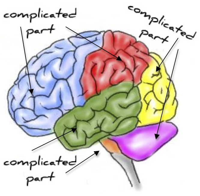 complicated brain