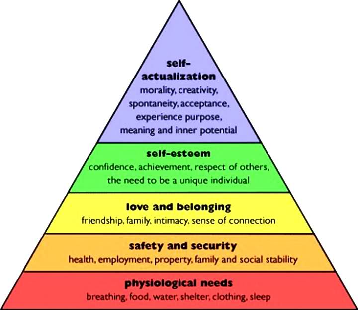 hierarchy of needs
