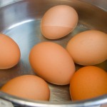 eggs