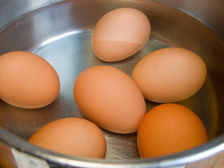 eggs
