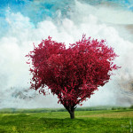 Love_tree