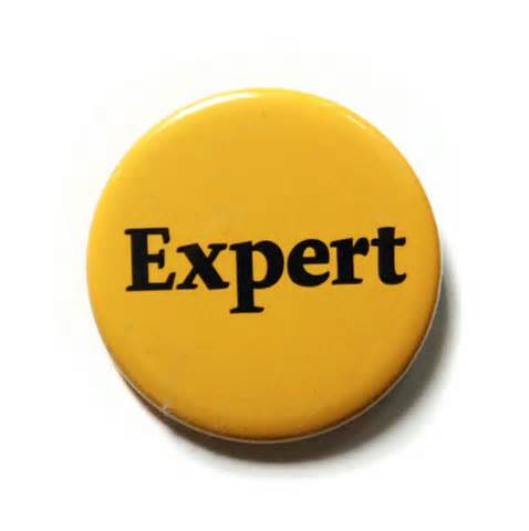 pin button reads "expert"