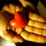 hand holding heart