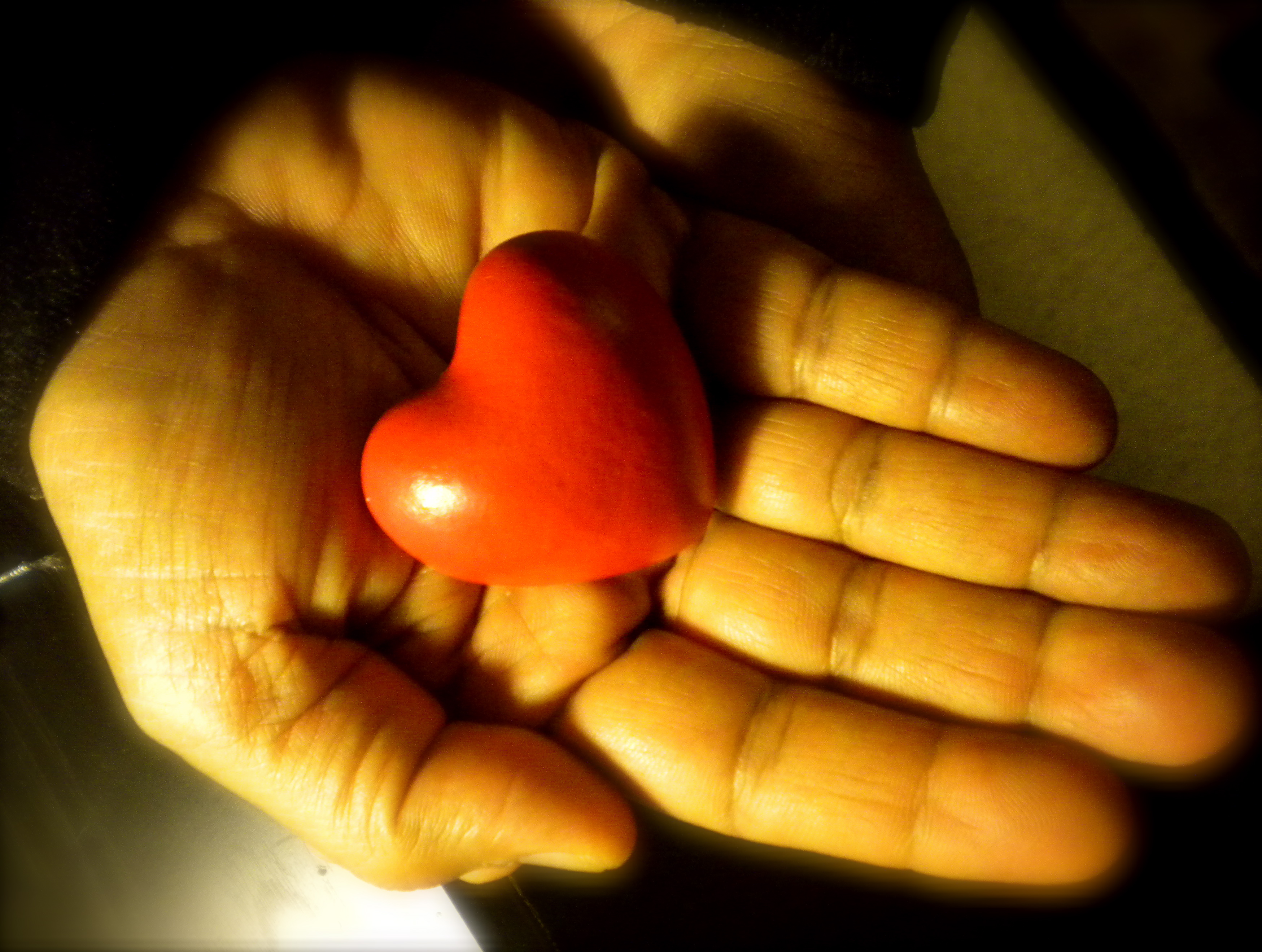 hand holding heart