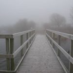foggy foot bridge