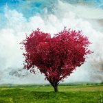 Love_tree