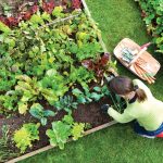 woman tending a garden