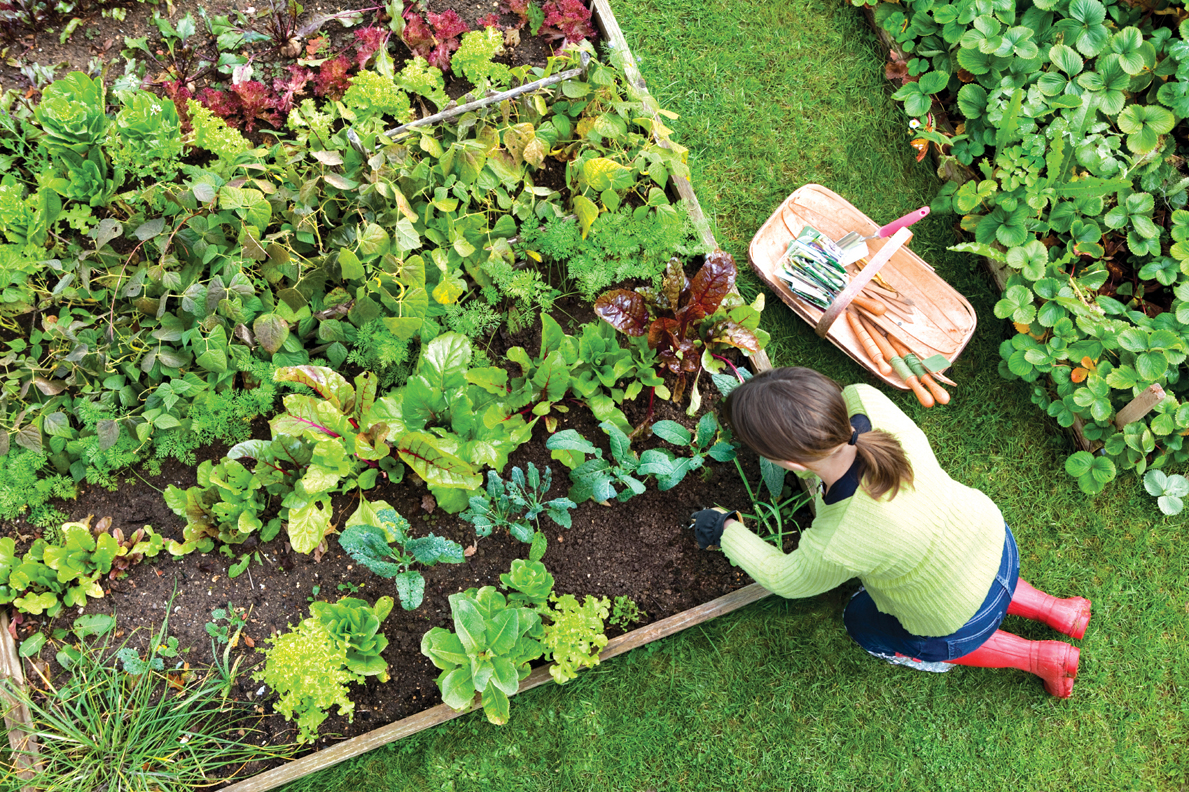 woman tending a garden