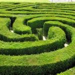 maze