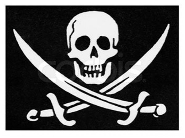 Jolly Roger Pirate Flag